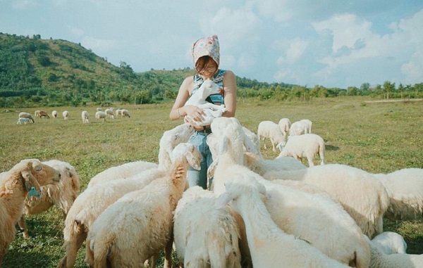 HÀ NỘI – CAM RANH – NINH THUẬN – NHA TRANG ( 4 ngày 3 đêm)