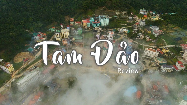 COMBO TAM ĐẢO 2025