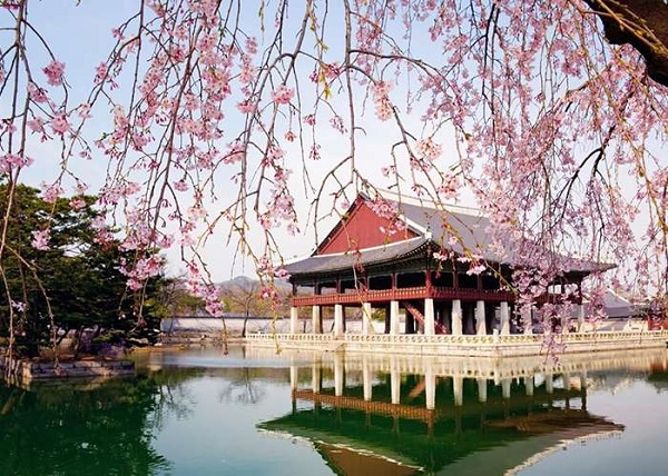 HÀ NỘI - SEOUL - NAMI - HÀ NỘI